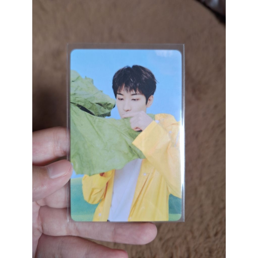 PC OFFICIAL WONWOO SEVENTEEN HEAVEN CARVER