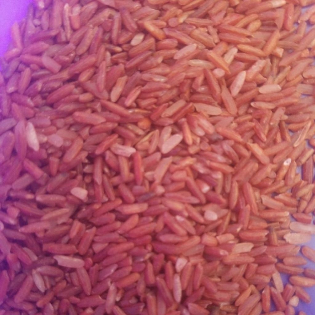 

Beras 5kg ekonomis