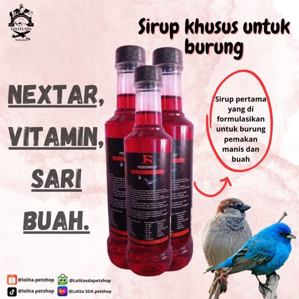 PEKSIRUP NEKTAR BURUNG UNTUK BURUNG