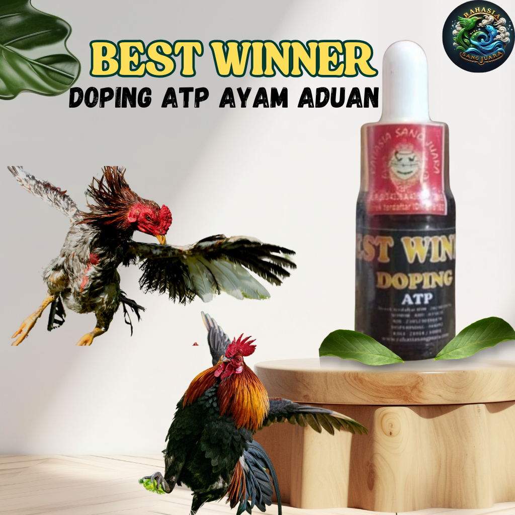 Best Winner Doping ATP Ayam Aduan 15ml - Amunisi Tambahan Untuk Ayam Petarung