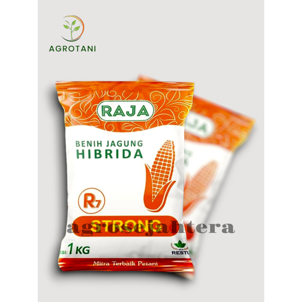 Benih Jagung Hibrida Raja R7 Strong - 1kg