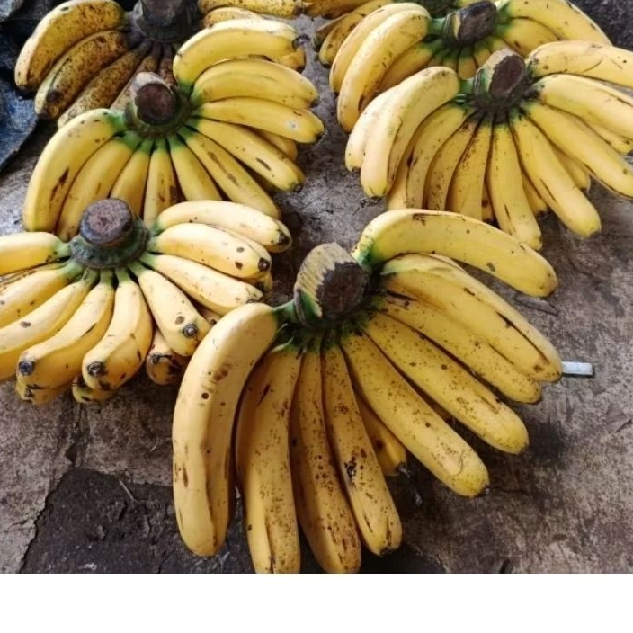 

Pisang barangan asli Medan