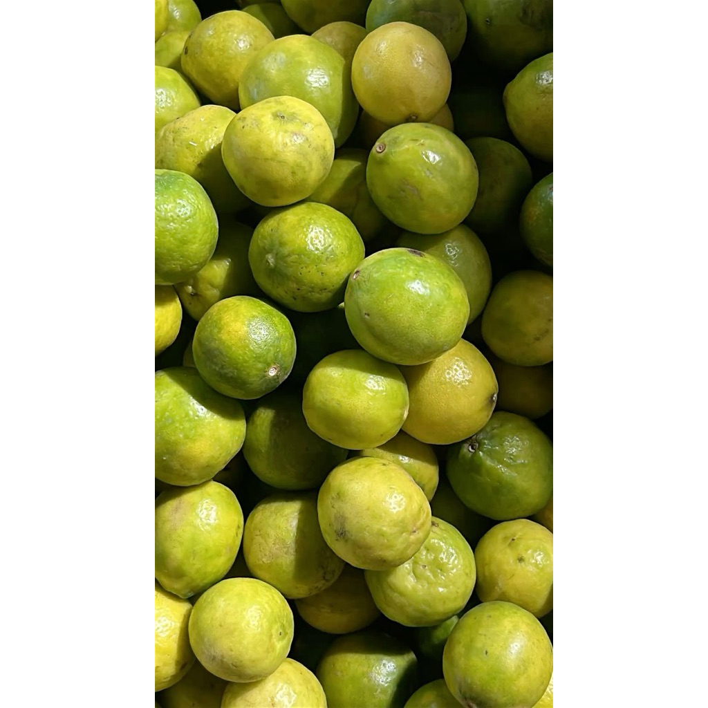 

Jeruk lemon 1kg fresh