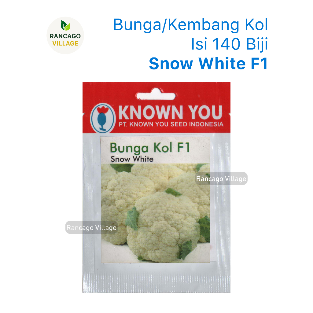Benih Bunga Kol Snow White F1 Kembang Kol Known You Seed Isi 140 Biji