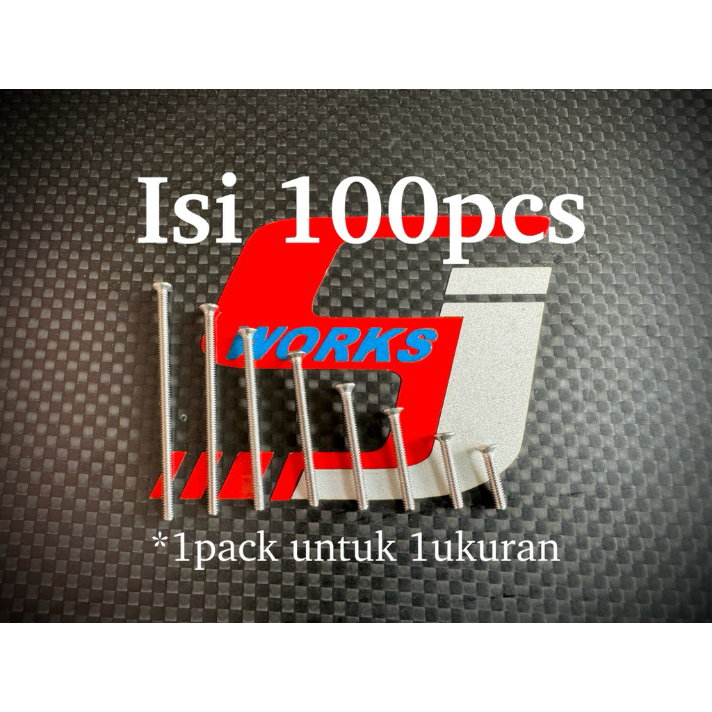 Baut Gepeng Stainless m2, isi 100