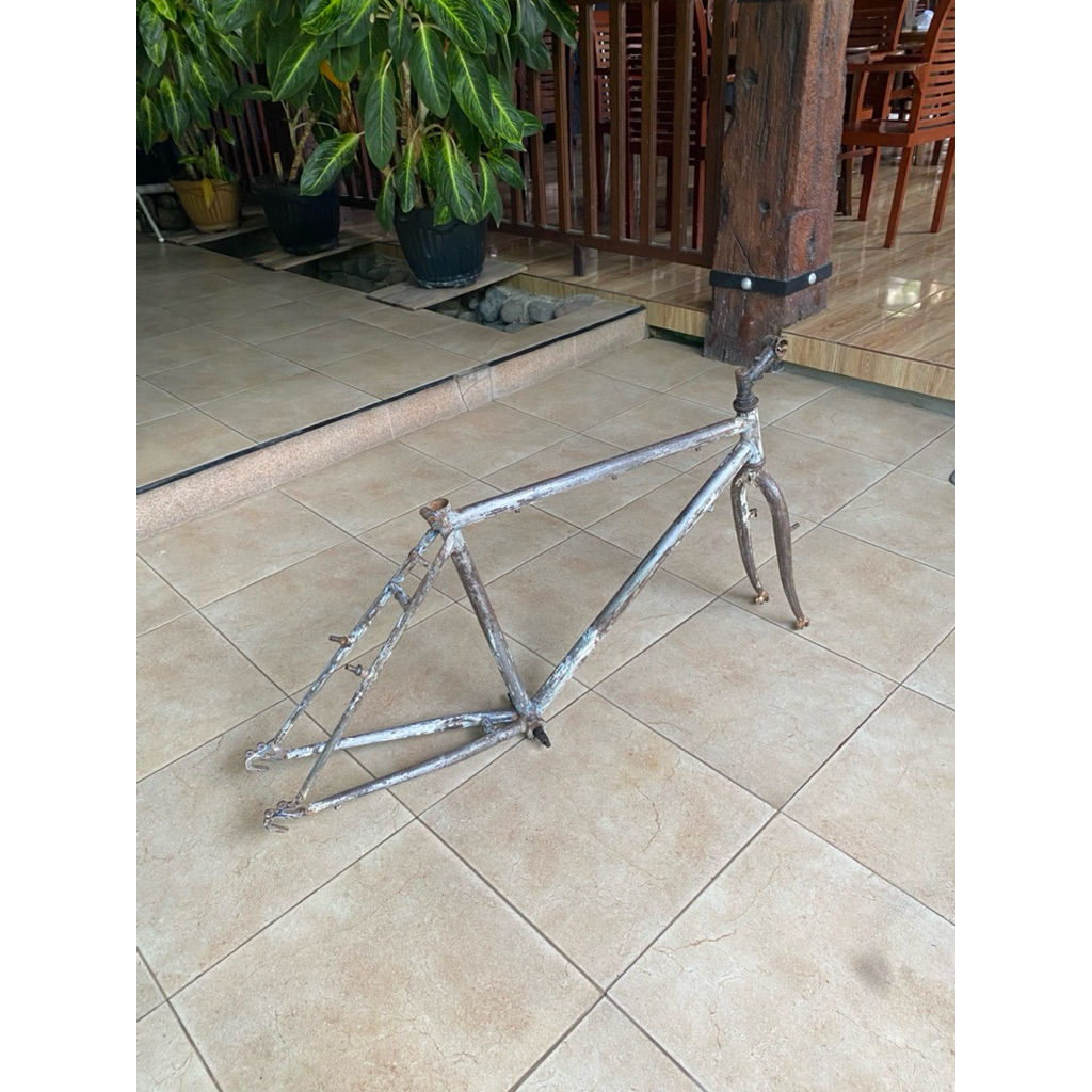 Frame federal streetcat size 19,5