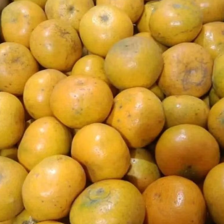 

JERUK MEDAN 1kg