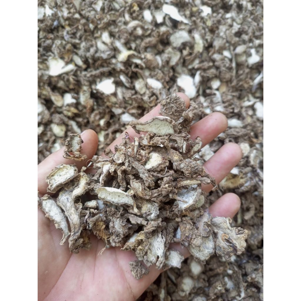 

JAHE MERAH KERING PREMIUM – | 250g / 500g