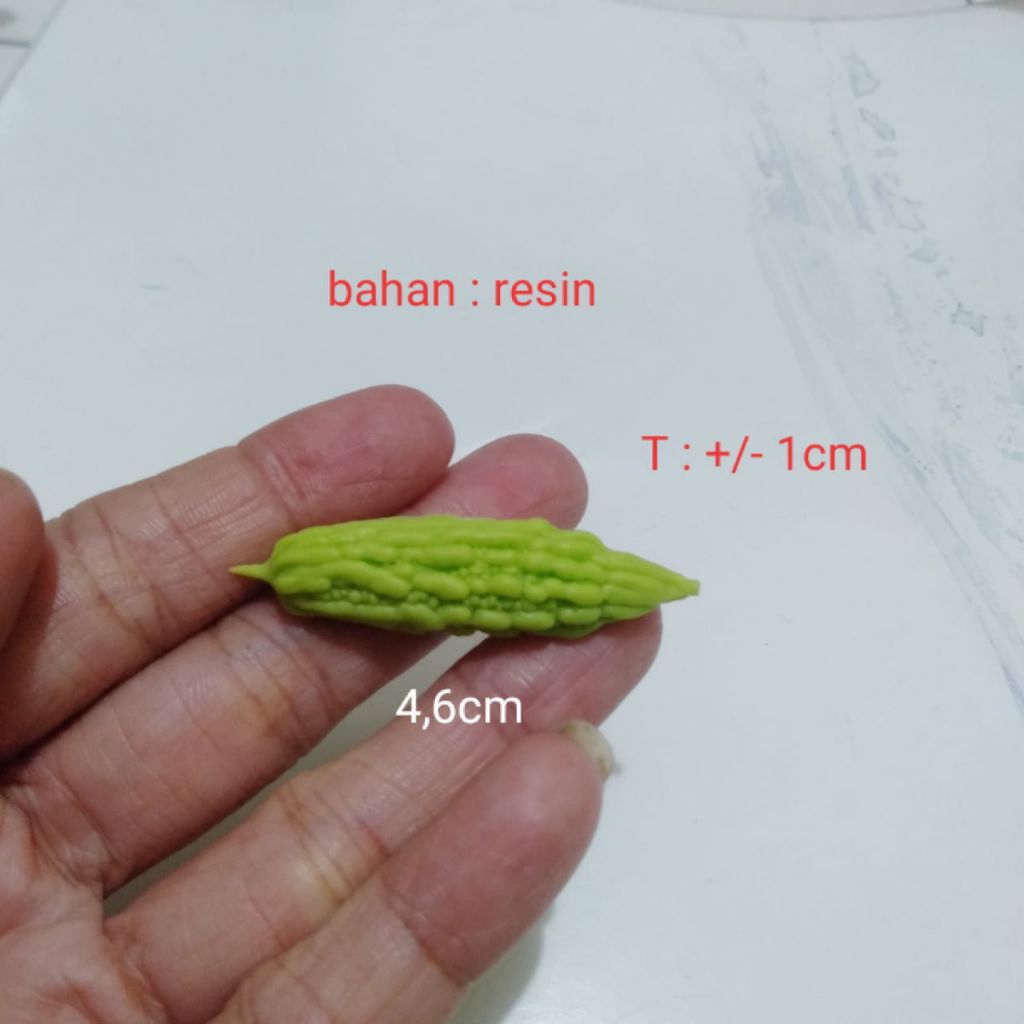 Miniatur Buah Pare Miniatur Sayuran Pare