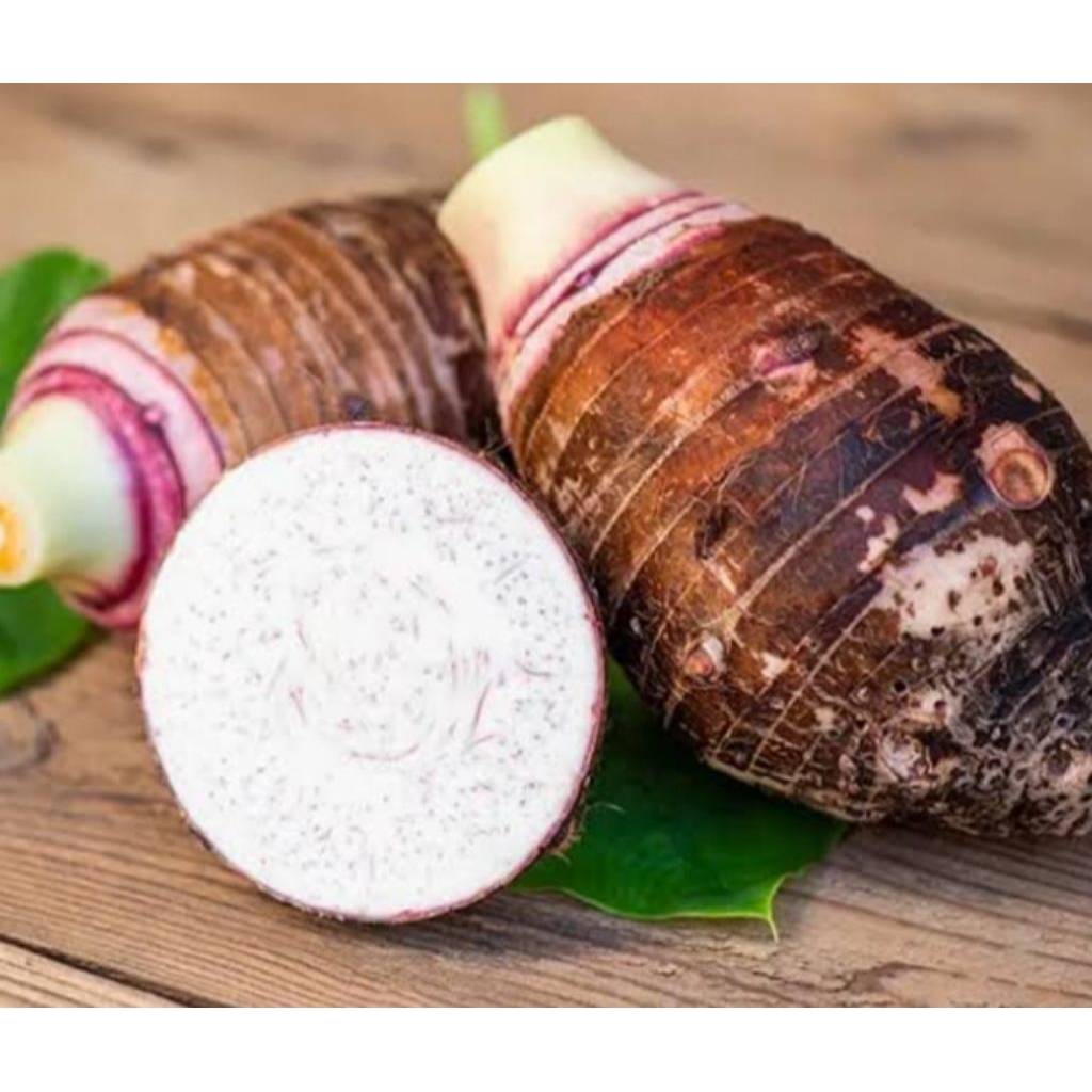 

umbi talas bogor /2kg