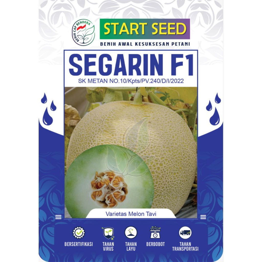 

Benih Melontavi SEGARIN F1 - START SEED isi ±750biji ORI 100%