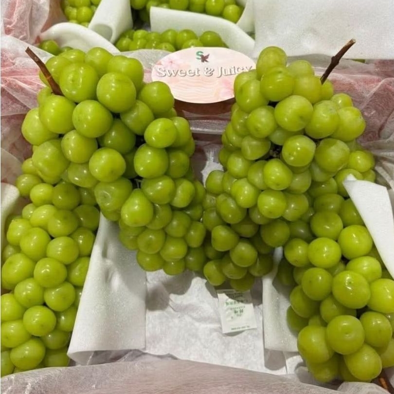 

ANGGUR SHINE MUSCAT CURAH 5kg