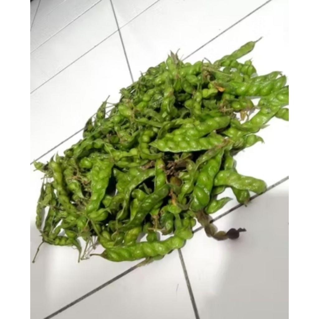 

TERBAIK KACANG HIRIS 50 GRAM SEGAR terbaik