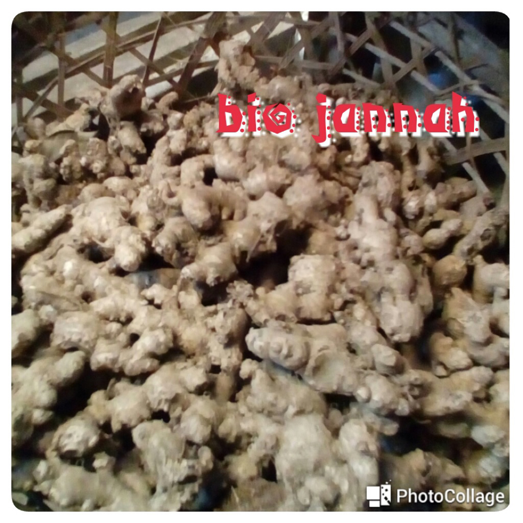 

Jahe Emprit 500 gram