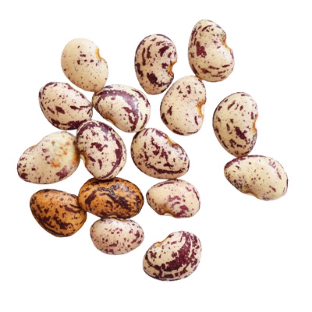 

Kacang Roay Mentah/Kacang Kratok 1kg