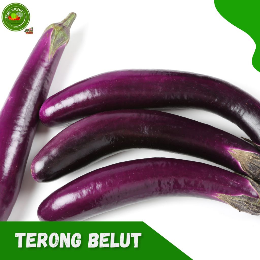 

Terong Welut / Belut , Terong Welut 500gram , Terong welut Fresh - 1kg, eel eggplant