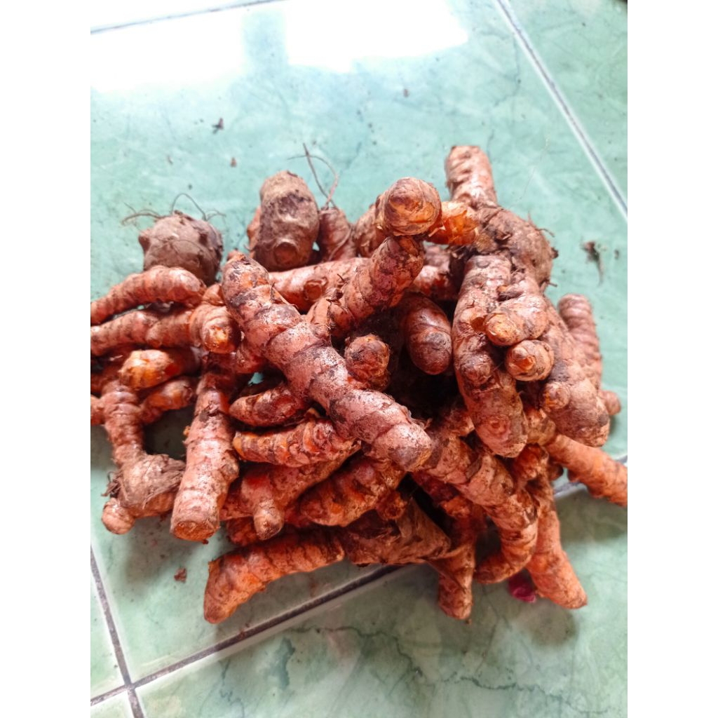 

kunyit fresh kunir 1 kilo