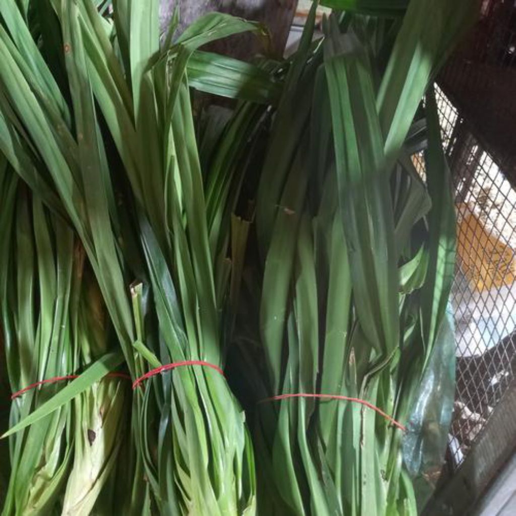

DAUN PANDAN 1 IKAT 250gram