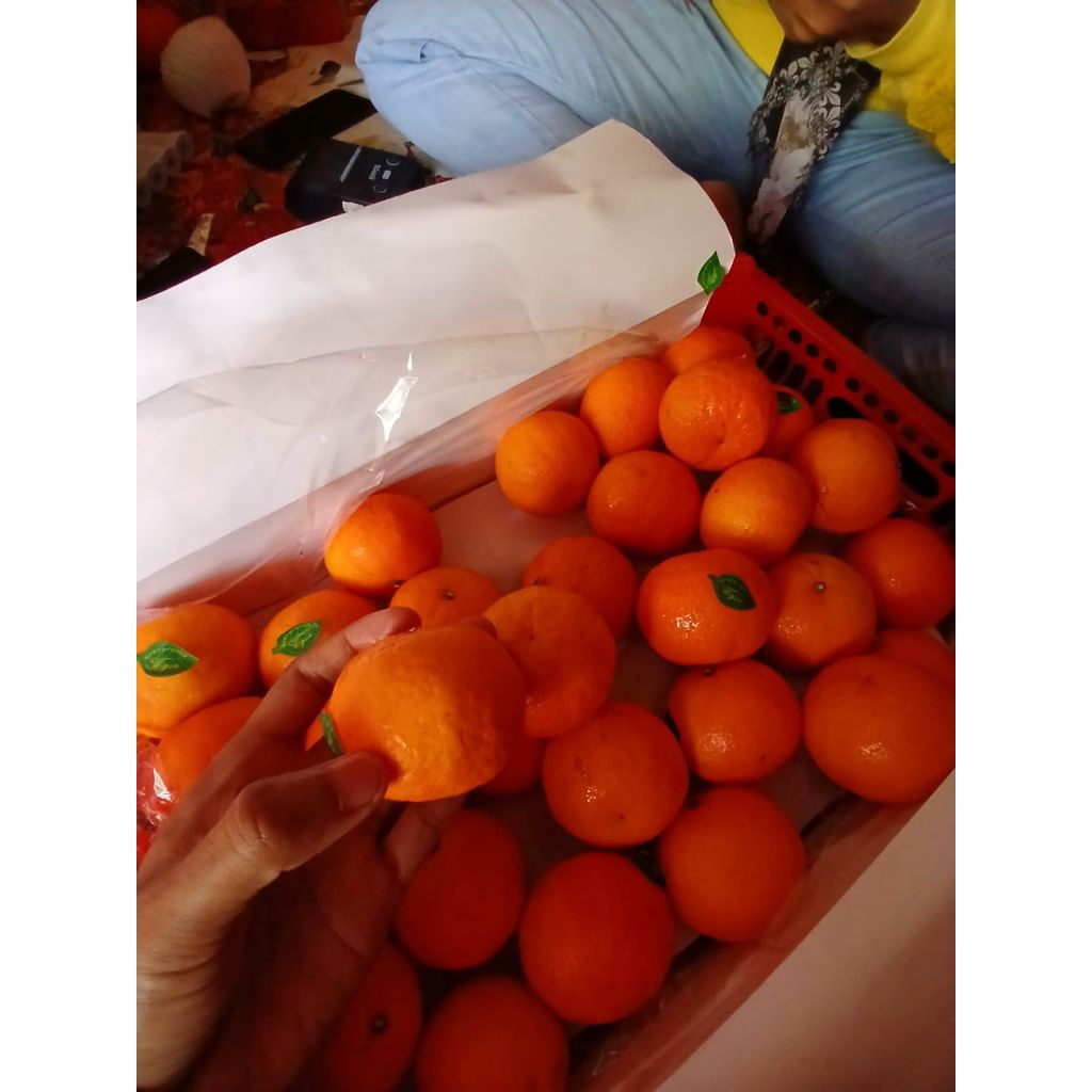 

JERUK SANTANG WOGAM MURAH FRESH