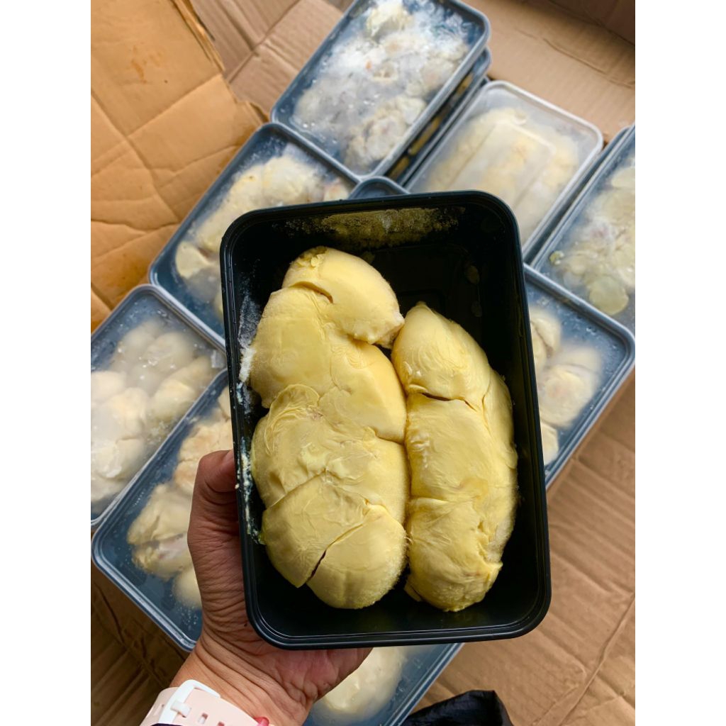 

(TERLARIS) 5.5 PROMO DURIAN KUPAS MEDAN GARANSI