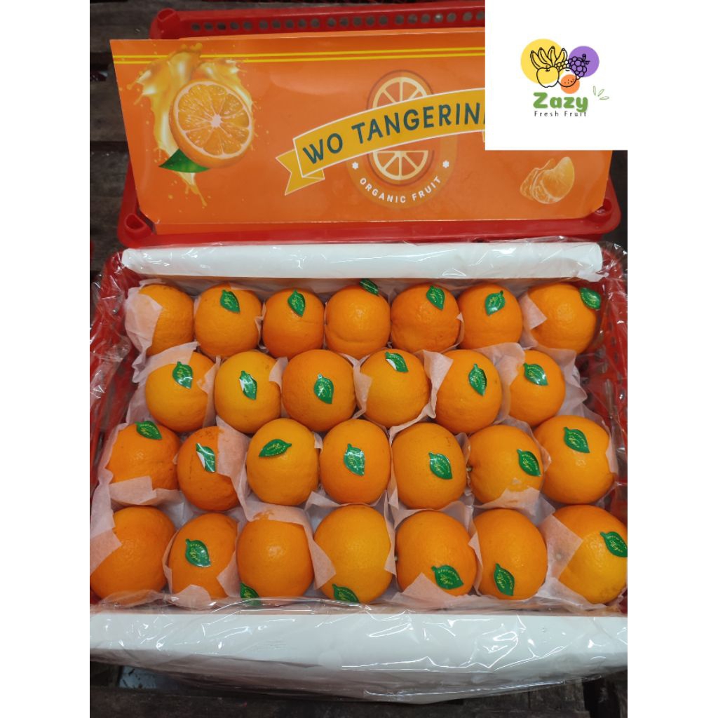 

JERUK WOKAM KERANJANG TANGERINE ^M /KG