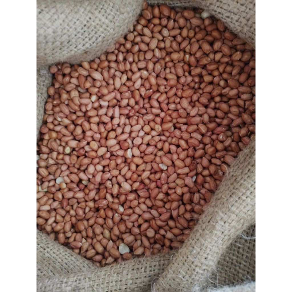 

Kacang Tanah India 5 kg