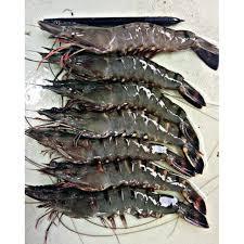 

Udang Sitto Segar Pasar Online