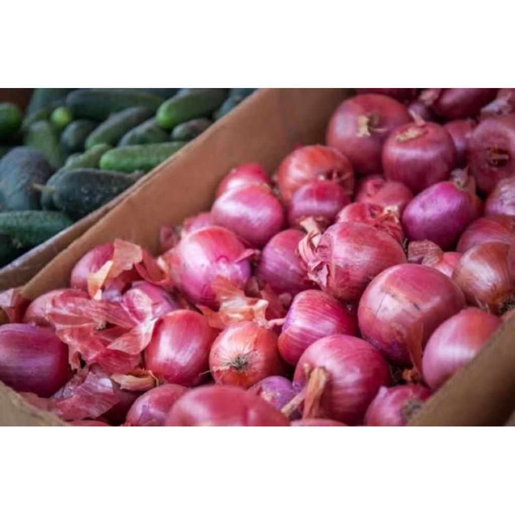 

Bawang Merah Asli Garut 1KG – Segar, Wangi, dan Langsung dari Petani Garut! Cocok untuk Bumbu Masakan Sehari-hari