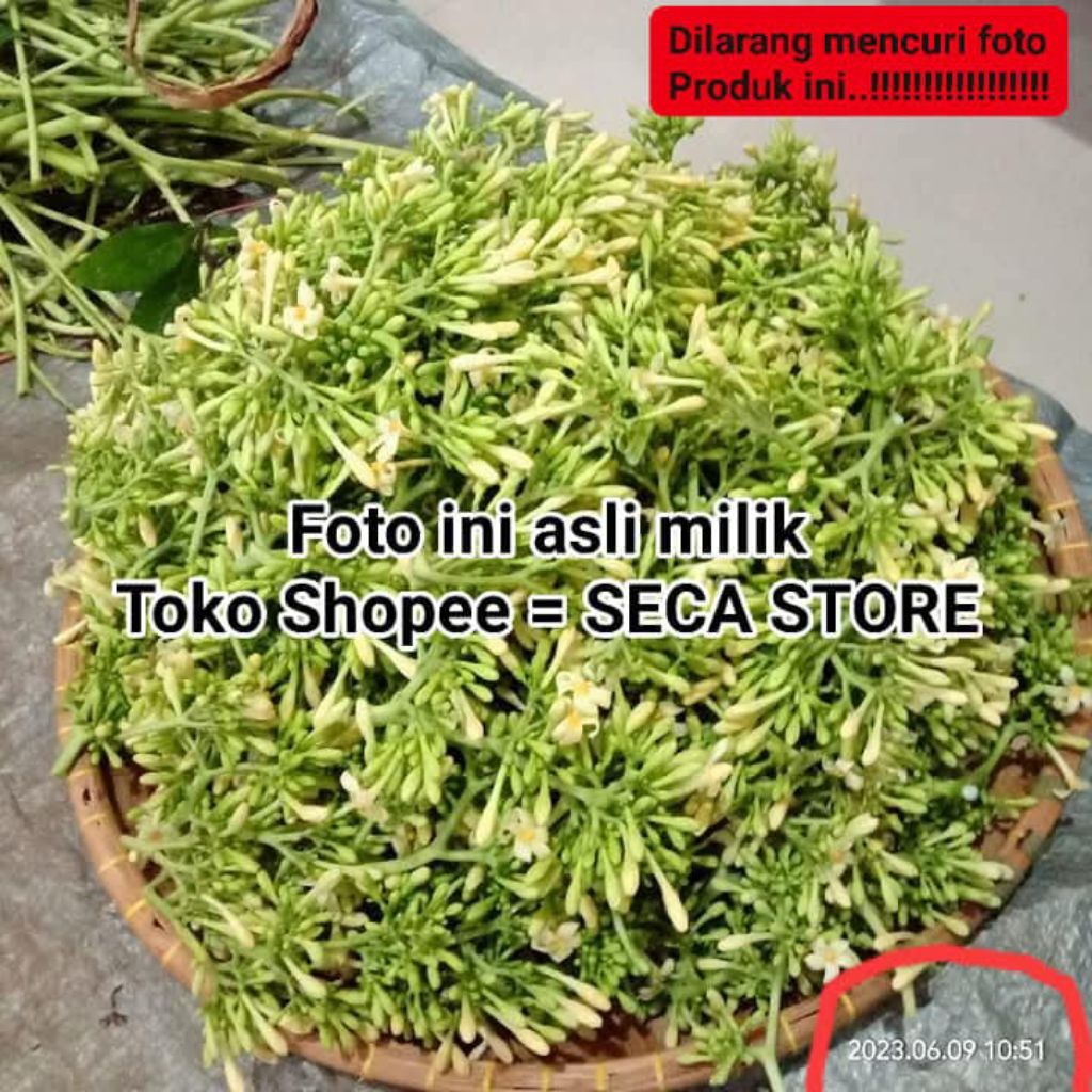 

[PO] Bunga Pepaya by SECA STORE - {Jadwal cek stok dikebun setiap hari minggu} - Bunga Pepaya isi 1 kg