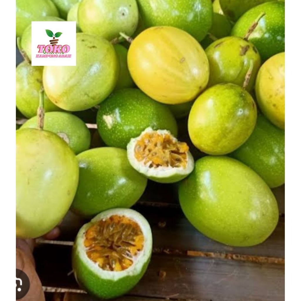 

buah markisa segar 1 kg