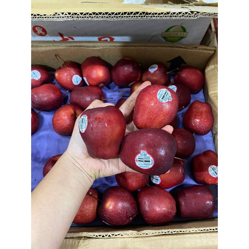 

APEL MERAH WASHINGTON