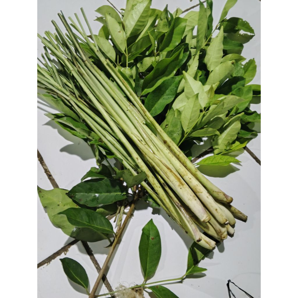 

sereh +daun salam super bumbu dapur