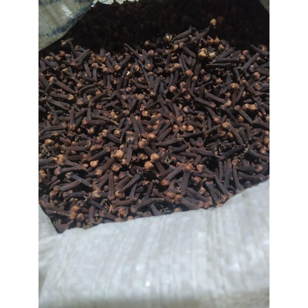 

Cengkeh KERING 100% Original_Asli dari PETANI