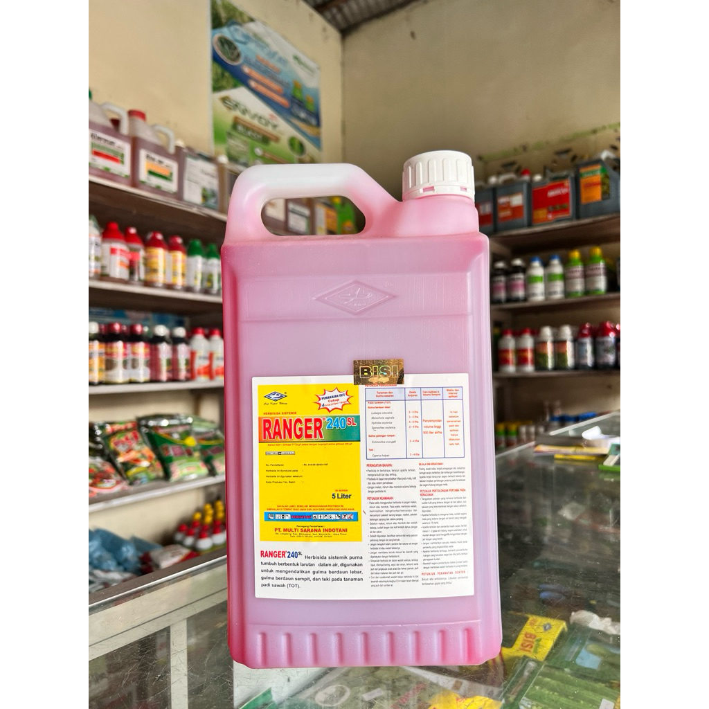 Herbisida Ranger 240 SL (5 Liter) | Herbisida Sistemik