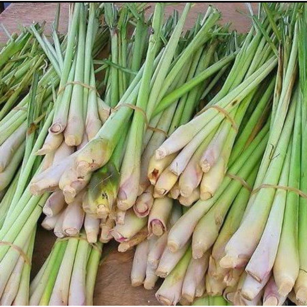 

Sereh bumbu dapur segar 1kg