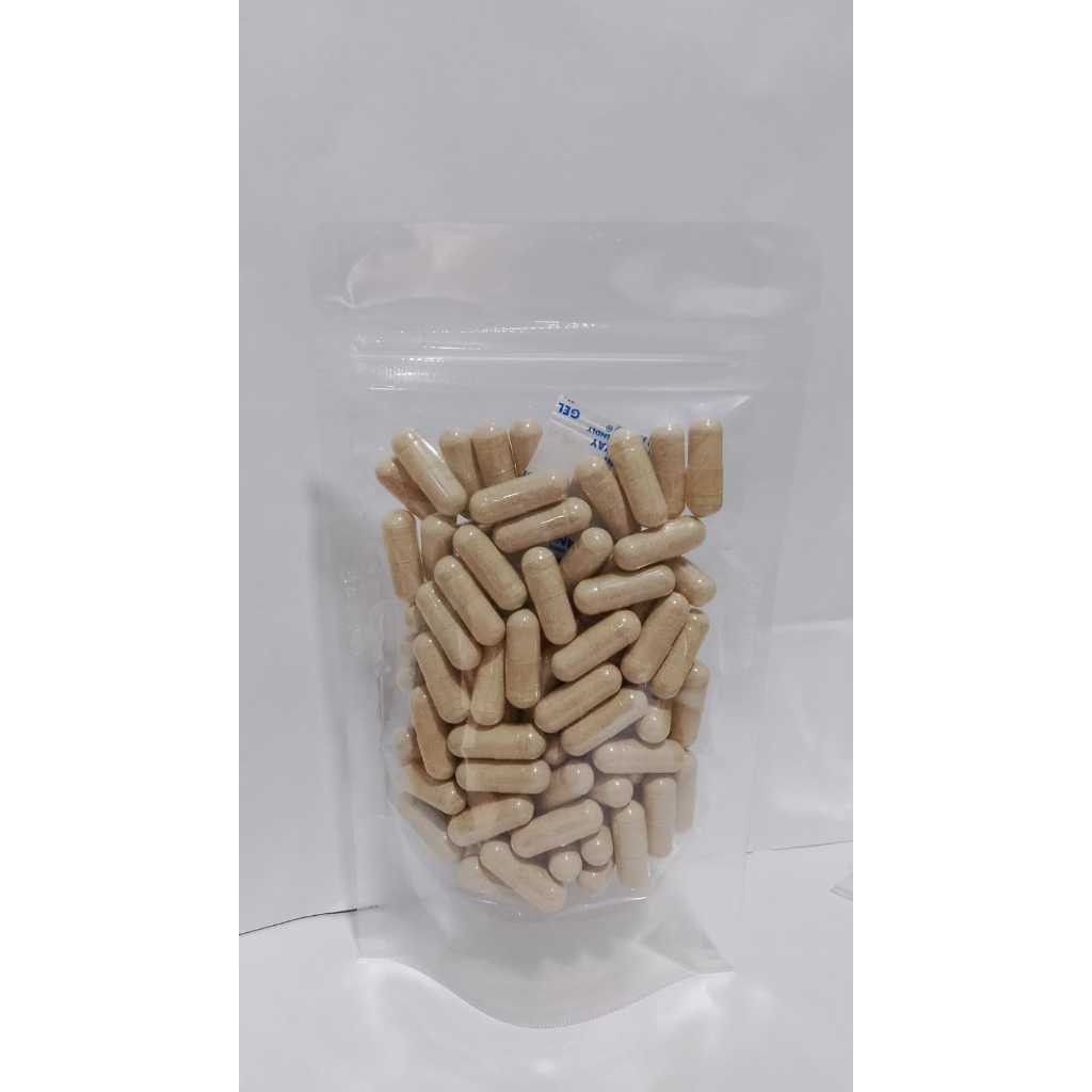 GINKGO BILOBA 100 Kapsul Curah Herbal Anti Aging Kinerja Otak