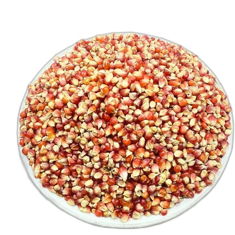 Jagung Kristal Merah Super Pakan Burung Merpati Dara Ayam 1KG