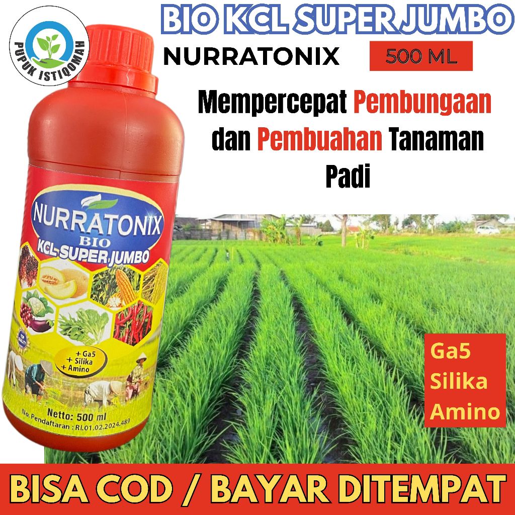 Nurratonix Bio Kcl 500 ml – Pupuk Cair Organik untuk Padi Sawah, Bulir Lebih Banyak & Panen Lebih Ce