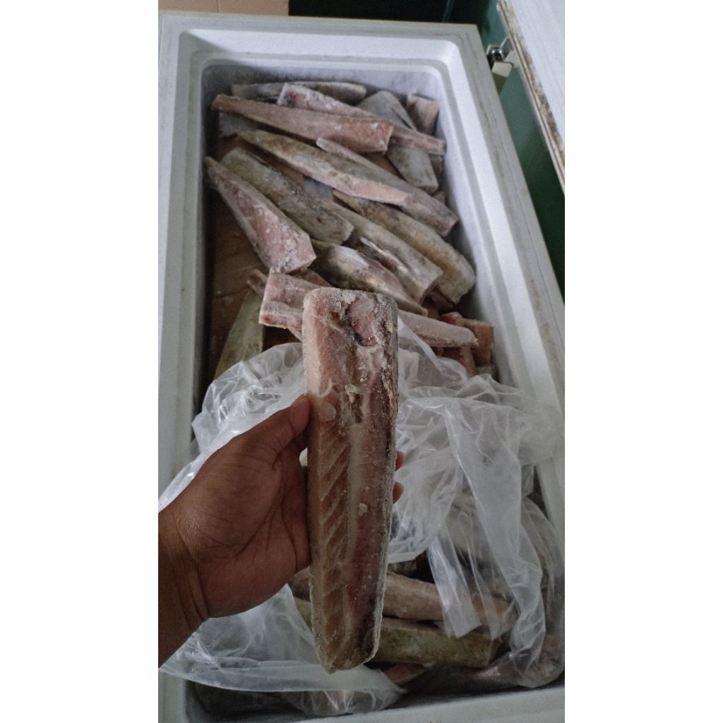 

daging ikan toro tuna fillet