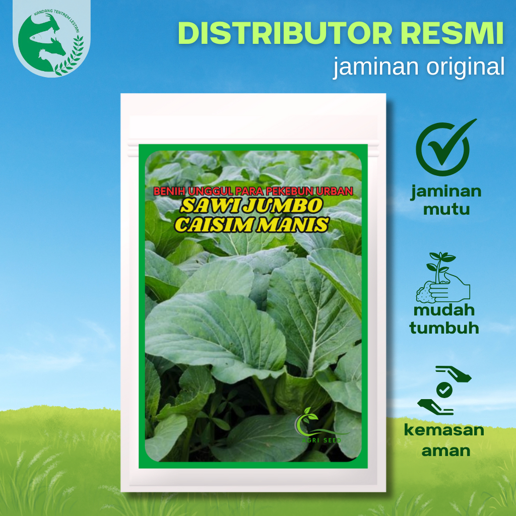 Benih Caisim Sawi Manis Jumbo 25 gram AGRI SEED Unggul Lebat Panen Melimpah Lambat Berbunga