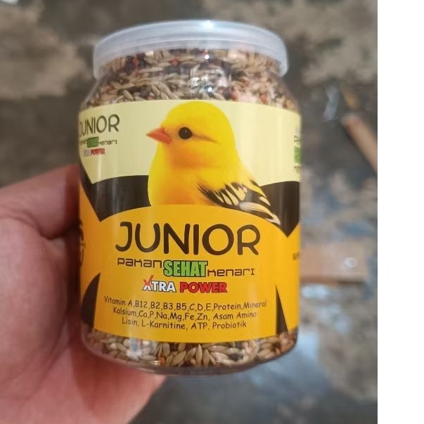 JUNIOR PAKAN SEHAR KENARI PAUD PAKAN KENARI PAUD CEPAT GACOR PAKAN KENARI TERBAIK
