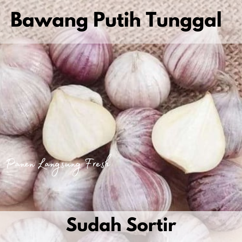 

Bawang Putih Tunggal Bawang Lanang Langsung Dari Gudang Kualitas Terbaik Premium Import Super