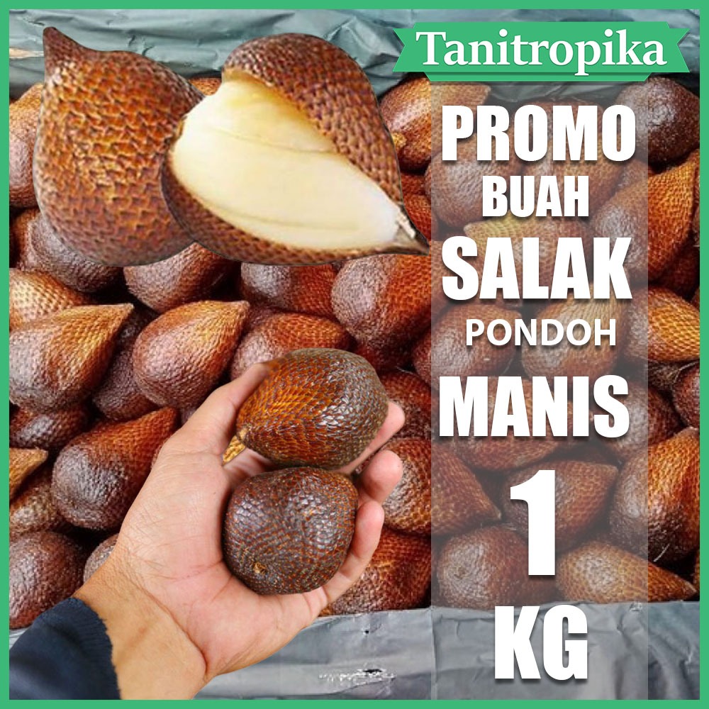 

Buah Salak Pondoh Kecil Manis legit 1 kg matang toko tani tropika