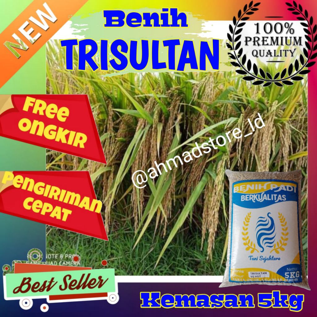 Bibit padi unggul Trisultan berkualitas kemasan 5kg