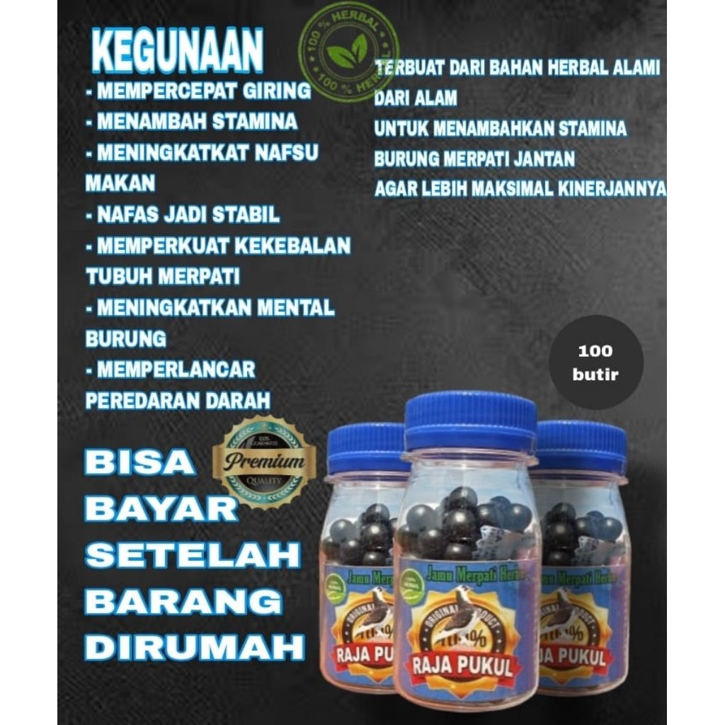 JAMU RAJA PUKUL MERPATI ISI 100 BUTIR TERBANG TINGGI jamu merpati Pil alus  giring keket super girin