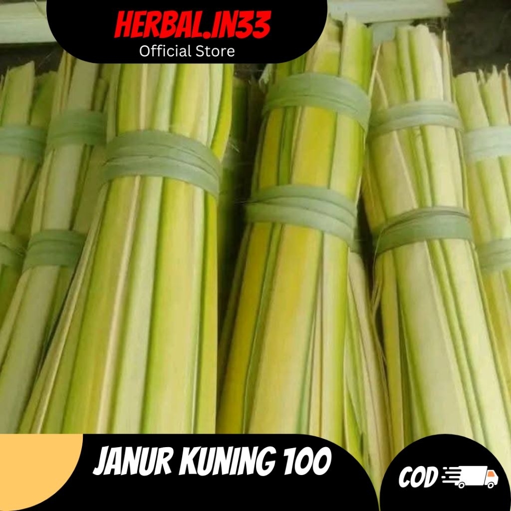 

Janur Kuning 100 Pcs Daun Kelapa Muda Untuk Ketupat Dan Acara Pernikahan