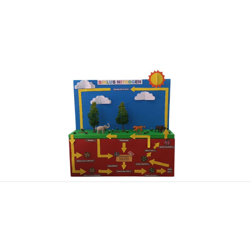 Diorama Siklus Nitrogen/Siklus Nitrogen/Alat Peraga Siklus Nitrogen