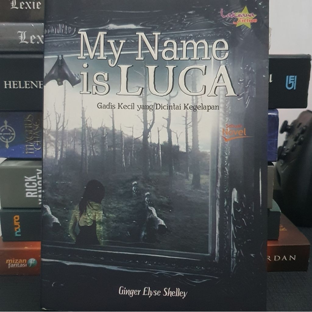 [Preloved] Novel Ginger Elyse Shelley - My Name is Luca