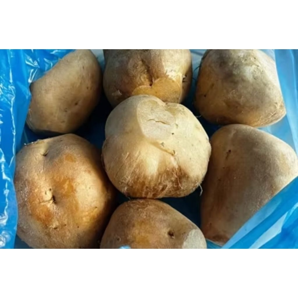 

bengkoang