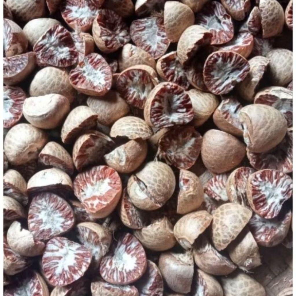 

1kg BIJI BUAH PINANG TUA KERING